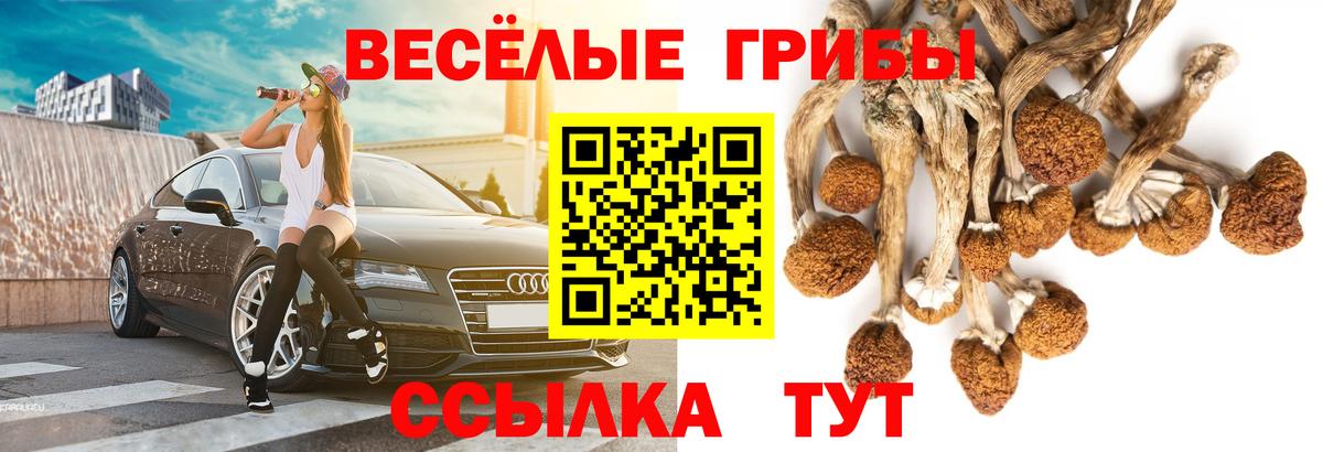 закладка  Псилоцибиновые грибы GOLDEN TEACHER  Вход с VPN  Каменск-Уральский 